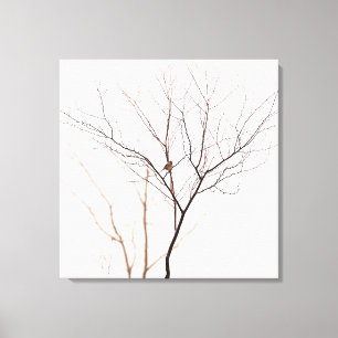 Small Bird in Tree Branches Minimalist Nature Canvas Print