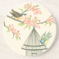 Small Birds Perched on a Branch and on a Birdcage