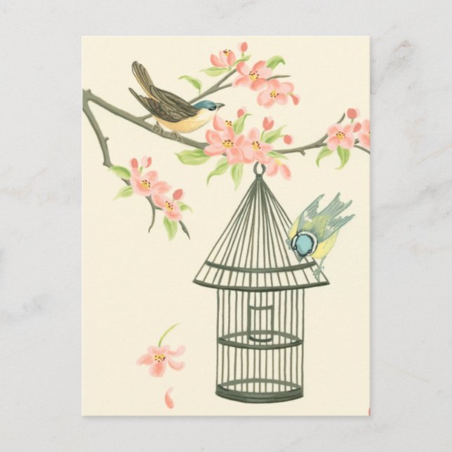 Small Birds Perched on a Branch and on a Birdcage Postcard (Front)