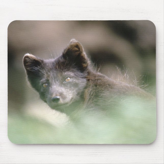 Small Black Wolf Mouse Pad (Front)