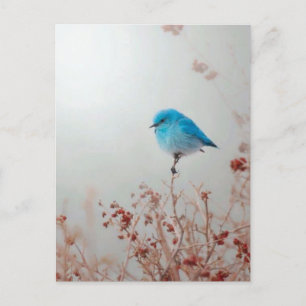 Small blue bird postcard