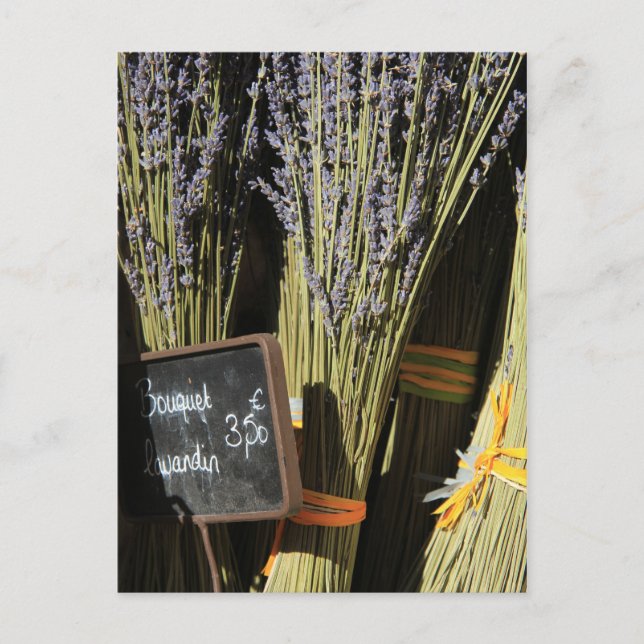Small bouquets of lavender postcard (Front)
