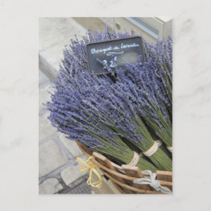 Small bouquets of lavender postcard