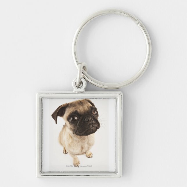 Small breed of dog with short muzzled face. key ring (Front)