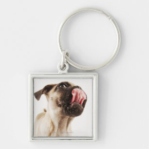 Small Breed of Dog with Short Muzzled Face Key Ring