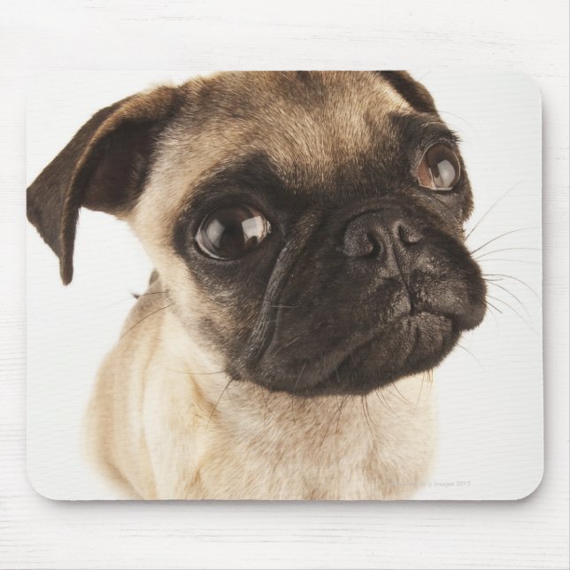 Small breed of dog with short muzzled face mouse pad (Front)