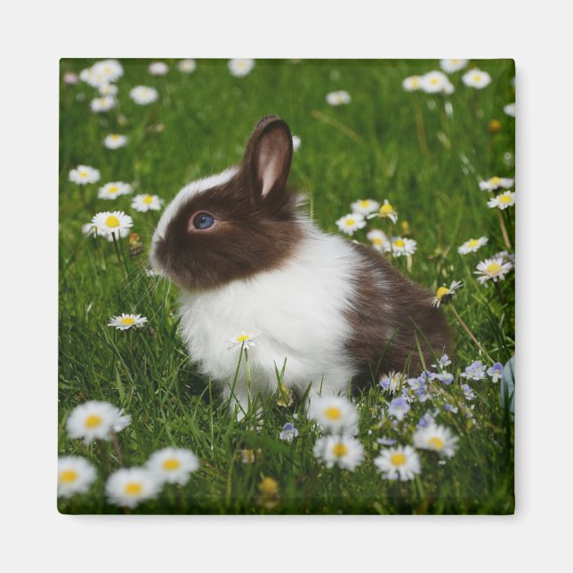 Small Brown and White Bunny in Flowers Magnet (Front)
