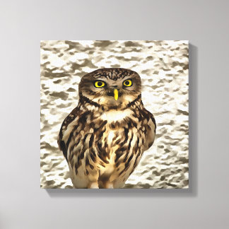 Small Brown Barn Owl Artistic Portrait Canvas Print