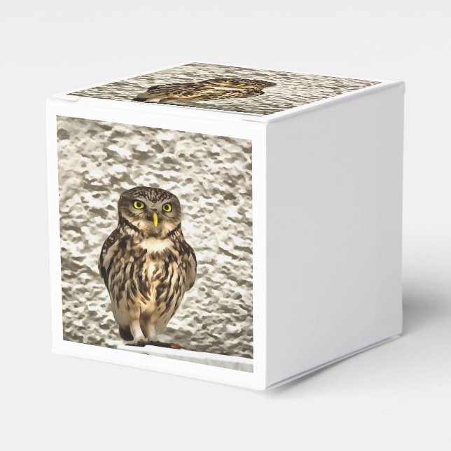 Small Brown Barn Owl Artistic Portrait Favour Box (Front Side)