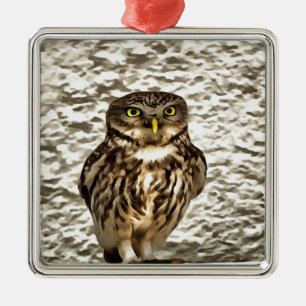 Small Brown Barn Owl Artistic Portrait Metal Tree Decoration