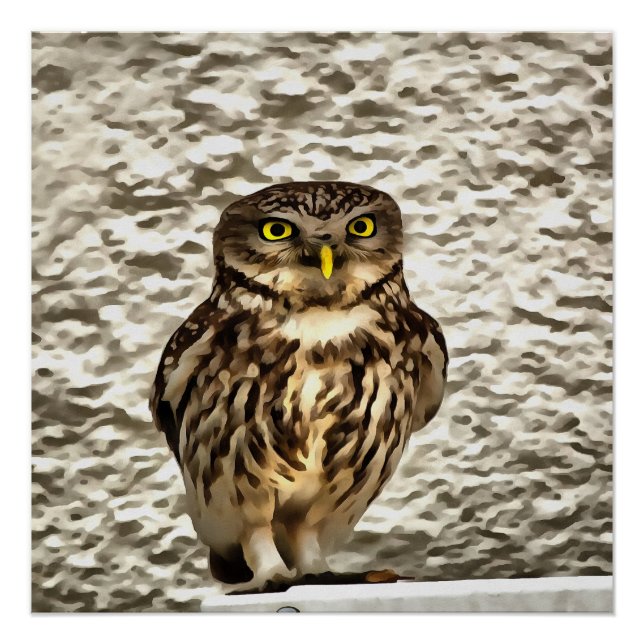 Small Brown Barn Owl Artistic Portrait Poster (Front)