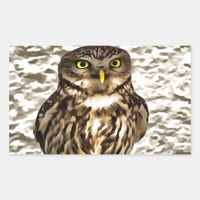 Small Brown Barn Owl Artistic Portrait Rectangular Sticker (Front)