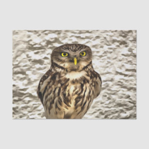 Small Brown Barn Owl Artistic Portrait Tissue Paper