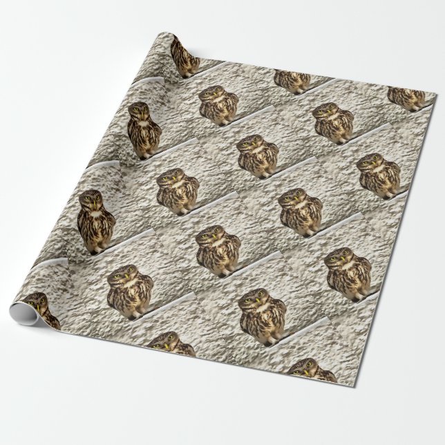 Small Brown Barn Owl Artistic Portrait Wrapping Paper (Unrolled)