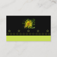 small business owner, dandelion