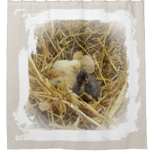 small chicken shower curtain