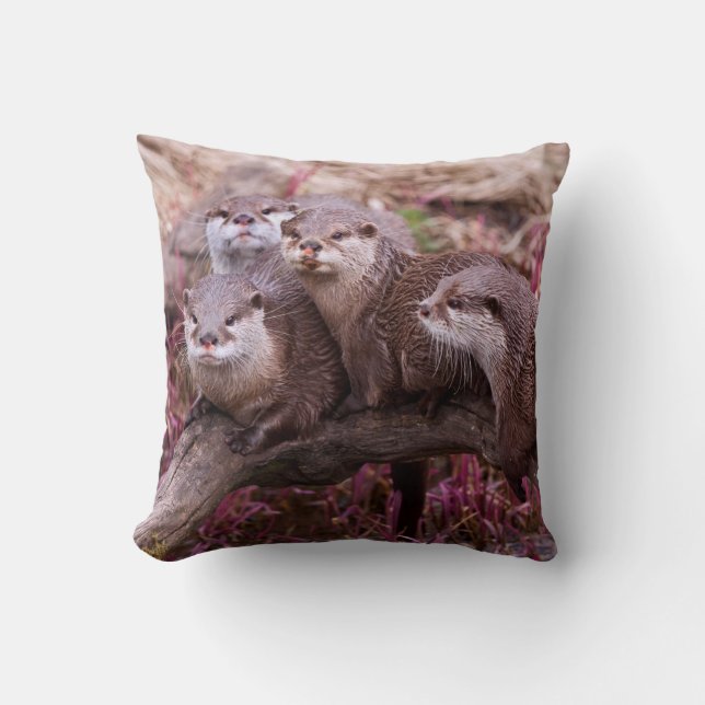 Small Clawed Otters Pillow (Front)