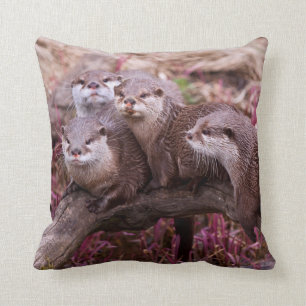 Small Clawed Otters Pillow