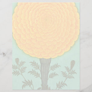 Small Clive Album A Marigold