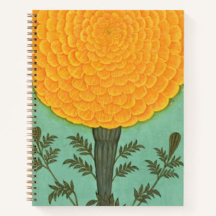 Small Clive Album   A Marigold Notebook