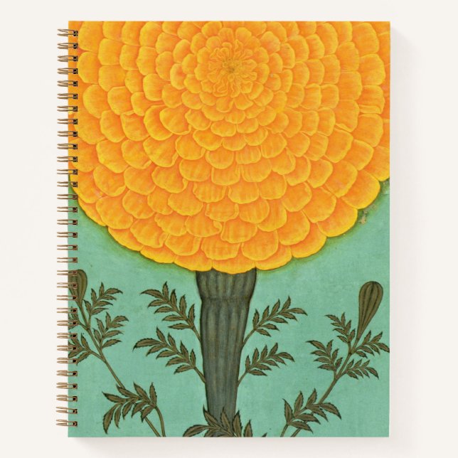 Small Clive Album | A Marigold Notebook (Front)