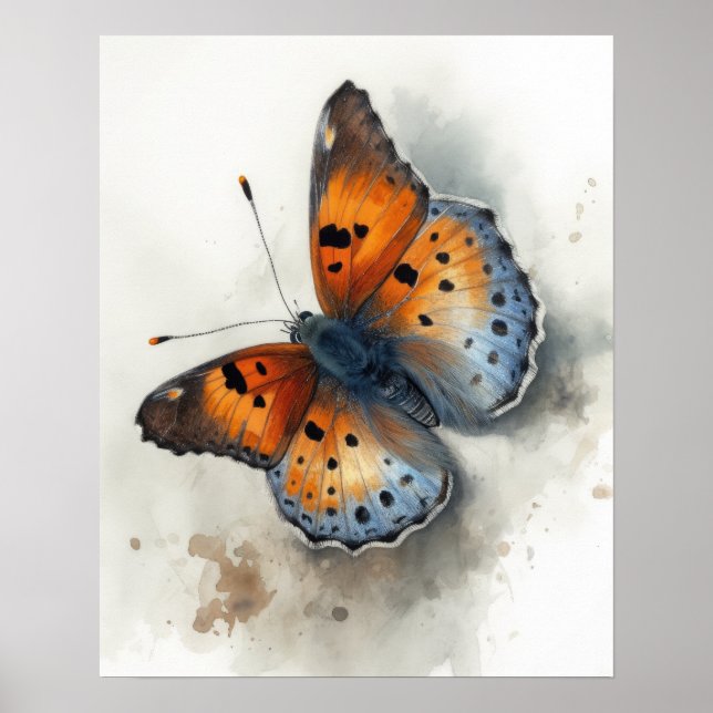 Small Copper Butterfly Art Print Poster (Front)
