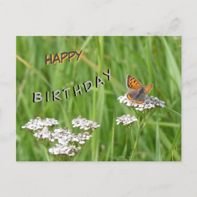 Small Copper Cust. Happy Birthday Postcard (Front)