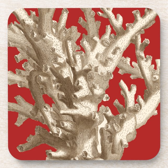 Small Coral in Red Coaster (Front)