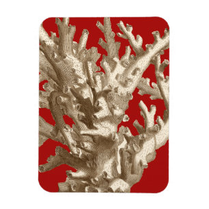 Small Coral in Red Magnet