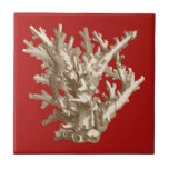 Small Coral in Red Tile<br><div class="desc">Go underwater to explore the sea with all these different sea creatures. This vintage piece of sea art involving a red background and stylish tan coral is a perfect addition to any sea anemone lovers. Get your art print today on your product.</div>