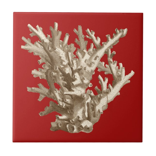 Small Coral in Red Tile (Front)