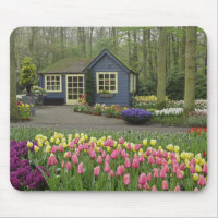 Small cottage flower shop, Keukenhof Gardens,