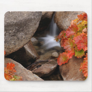 Small creek in autumn, California Mouse Pad