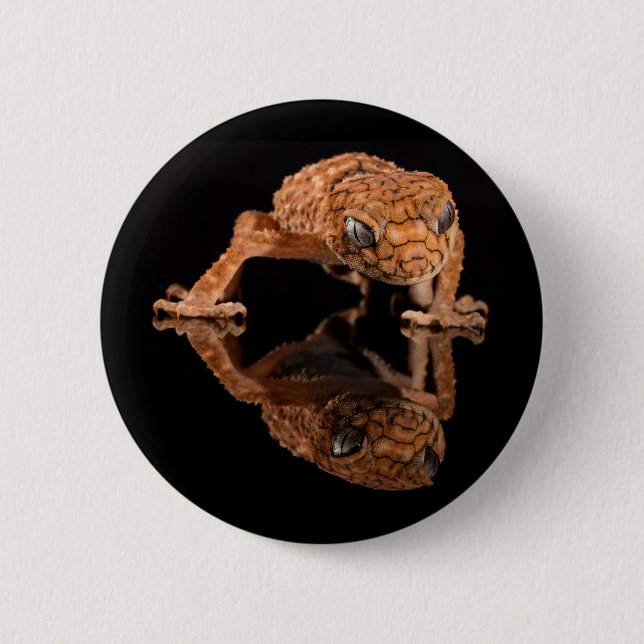 Small Cute Lizard Reptile with Reflection 6 Cm Round Badge (Front)