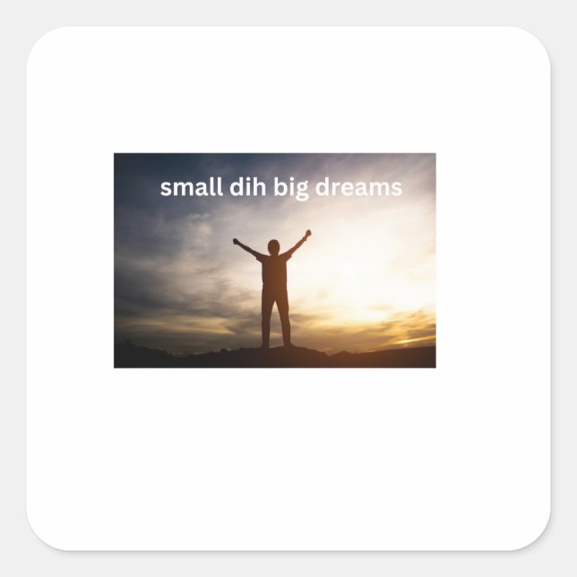 Small Dih Big Dreams Funny Meme Square Sticker (Front)