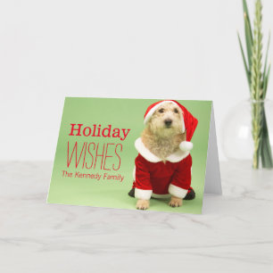Small Dog In Santa Costume Holiday Card