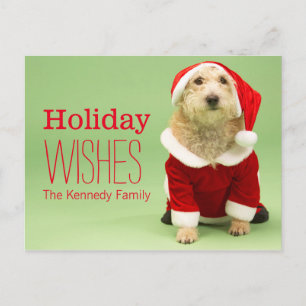 Small Dog In Santa Costume Holiday Postcard