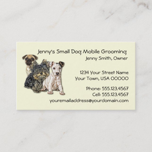 Small Dog Mobile Grooming 2012 Calendar Business C Business Card (Front)