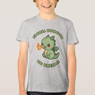 Small Dragon Back To School Tri-Blend Shirt