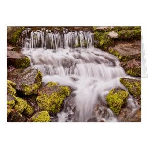 Small Falls In Yosemite