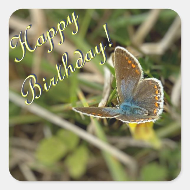 Small female blue butterfly square sticker (Front)