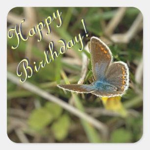 Small female blue butterfly square sticker