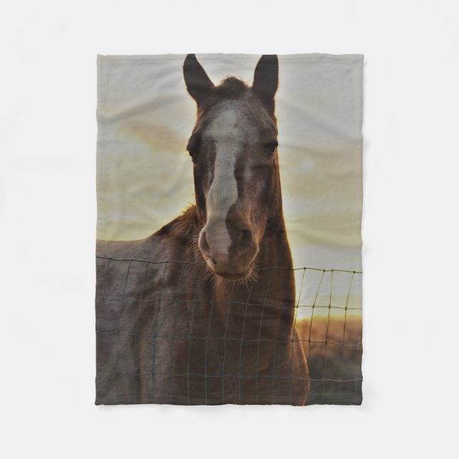 Small Fleece Horse Throw (Front)