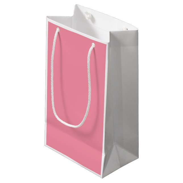 Small Gift Bag: Salmon Pink Front Apple Green Back Bag (Front Angled)