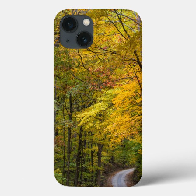 Small Gravel Road Lined With Autumn Colour Case-Mate iPhone Case (Back)