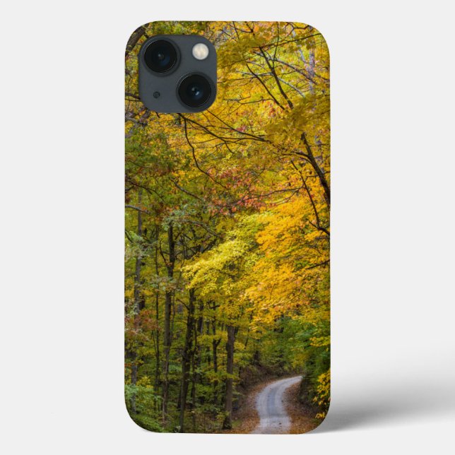 Small Gravel Road Lined With Autumn Colour Case-Mate iPhone Case (Back)