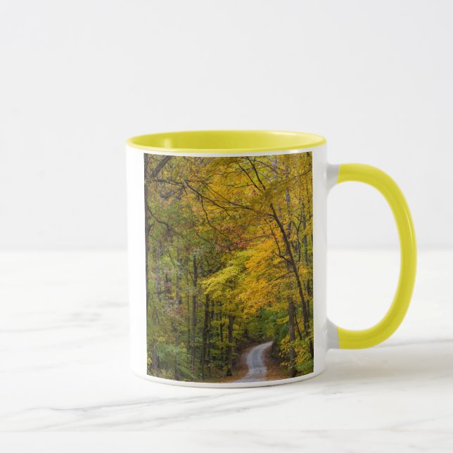 Small Gravel Road Lined With Autumn Colour Mug (Right)