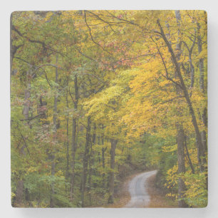 Small Gravel Road Lined With Autumn Colour Stone Coaster