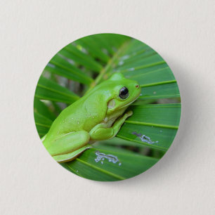 Small Green Frog 6 Cm Round Badge