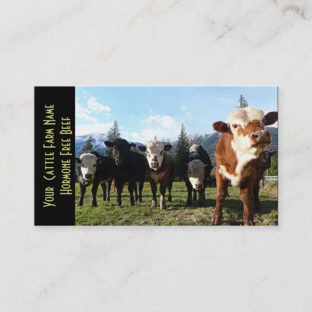 Small Herd of Beef Cattle Business Card (Front)